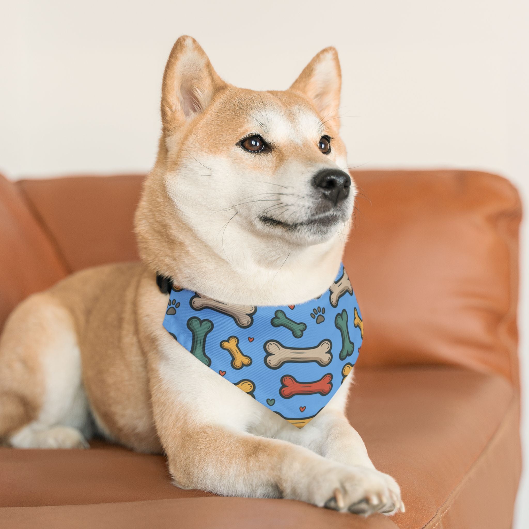 Light Blue Pet Bandana Collar