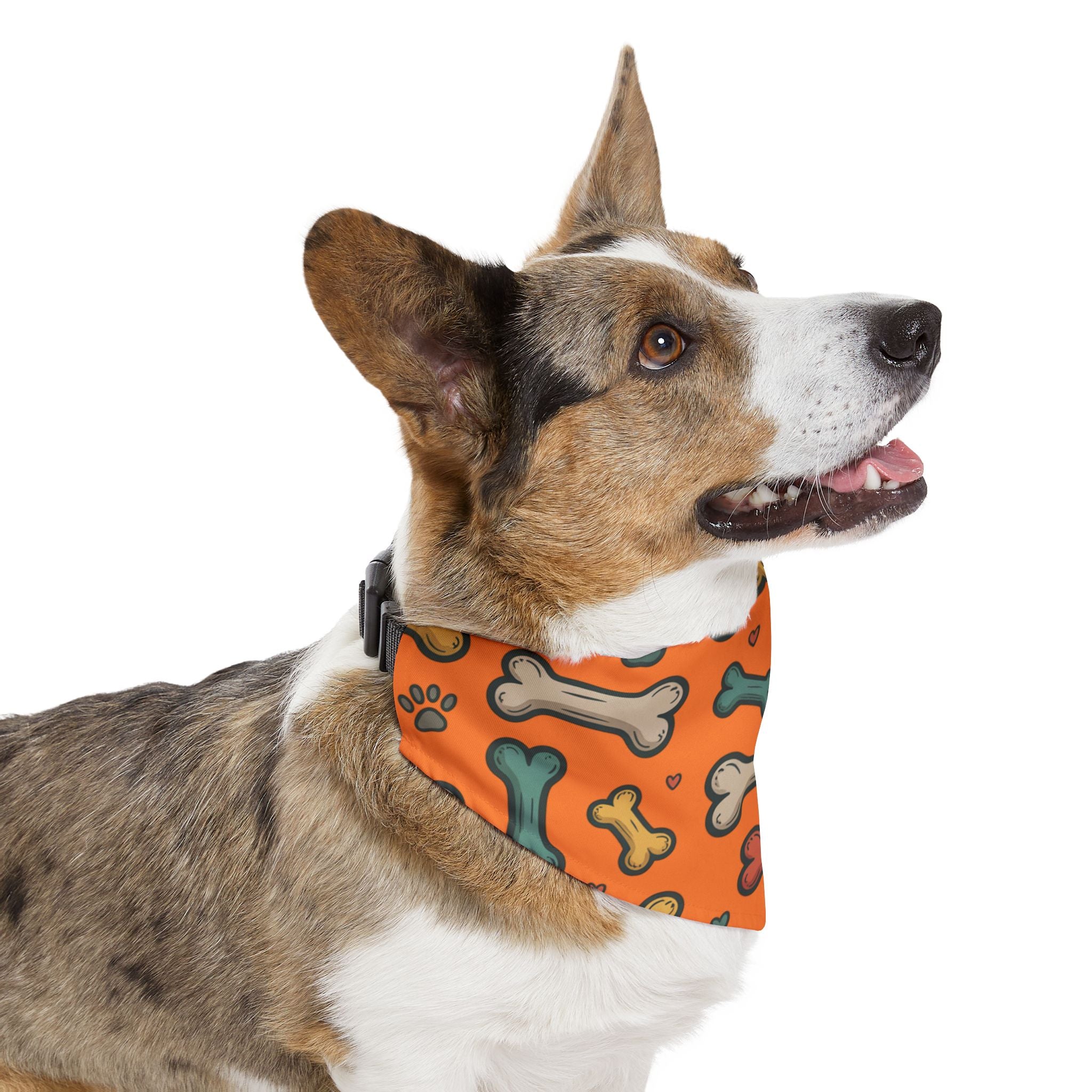 Orange Dog Bone Pattern Bandana Collar