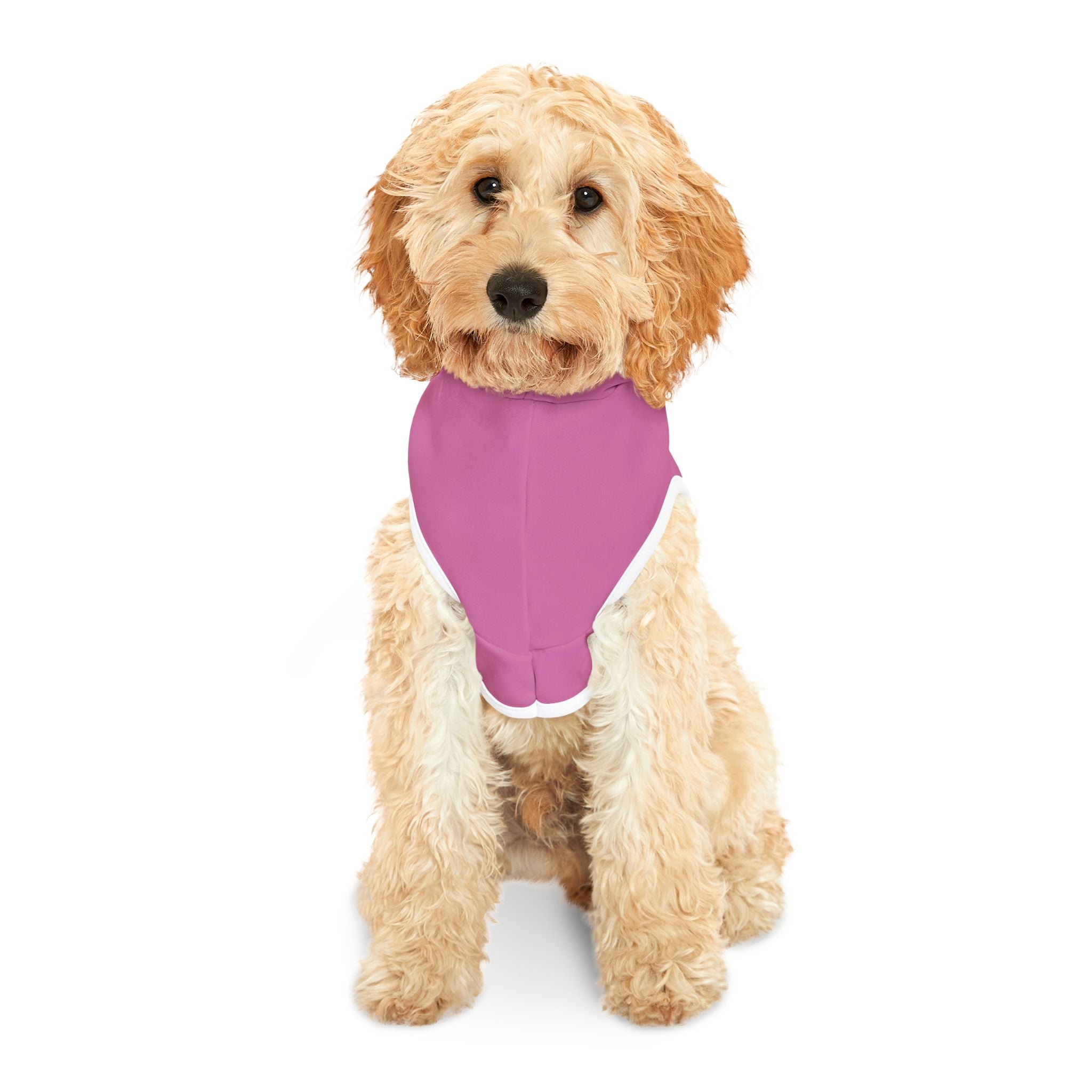 Pink Rockstar Pet Hoodie — "Rockstar" Graphic Dog Sweatshirt