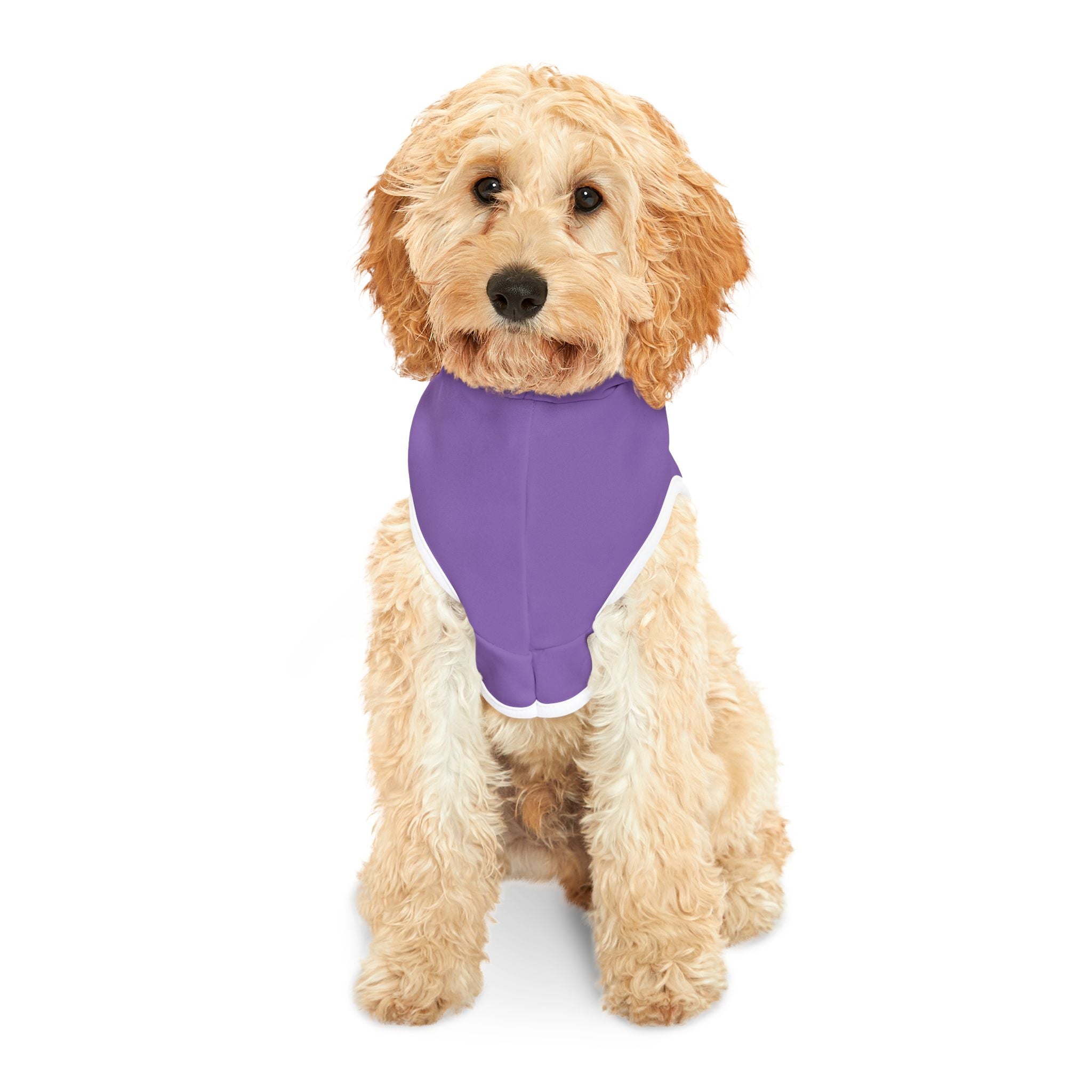 Purple Rockstar Pet Hoodie