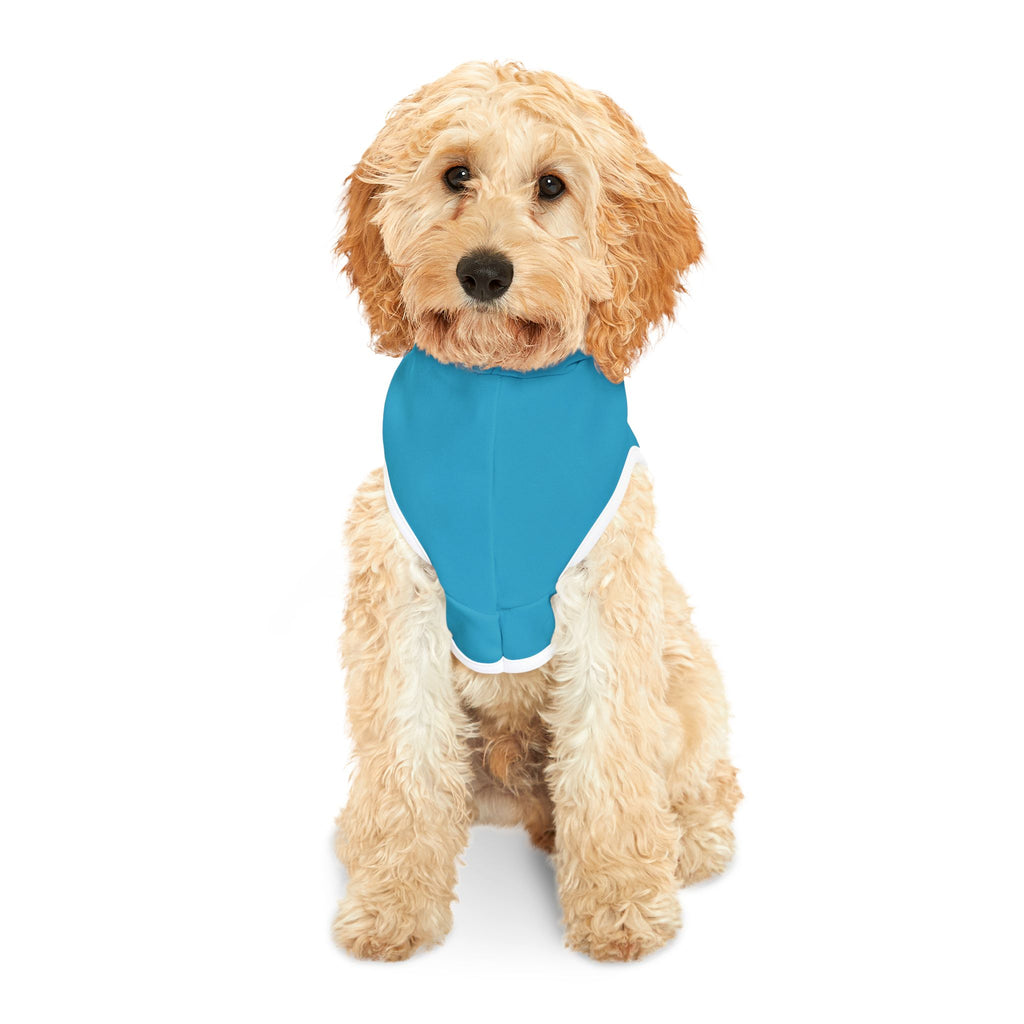 Light Blue Dog Rockstar Pet Hoodie