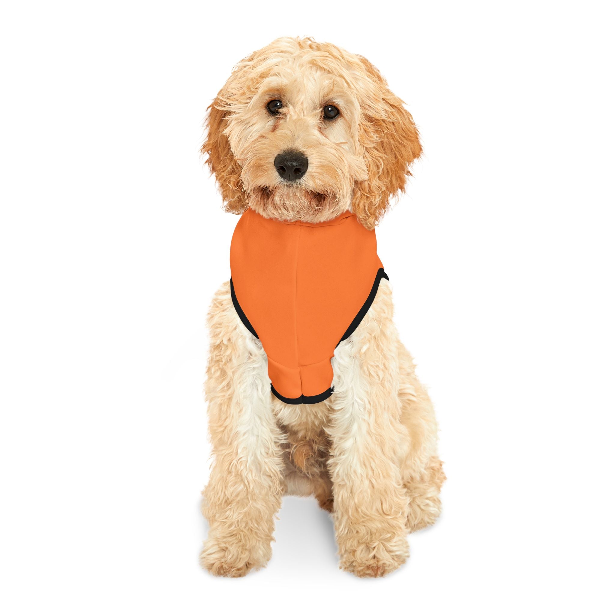 Orange Rockstar Pet Hoodie