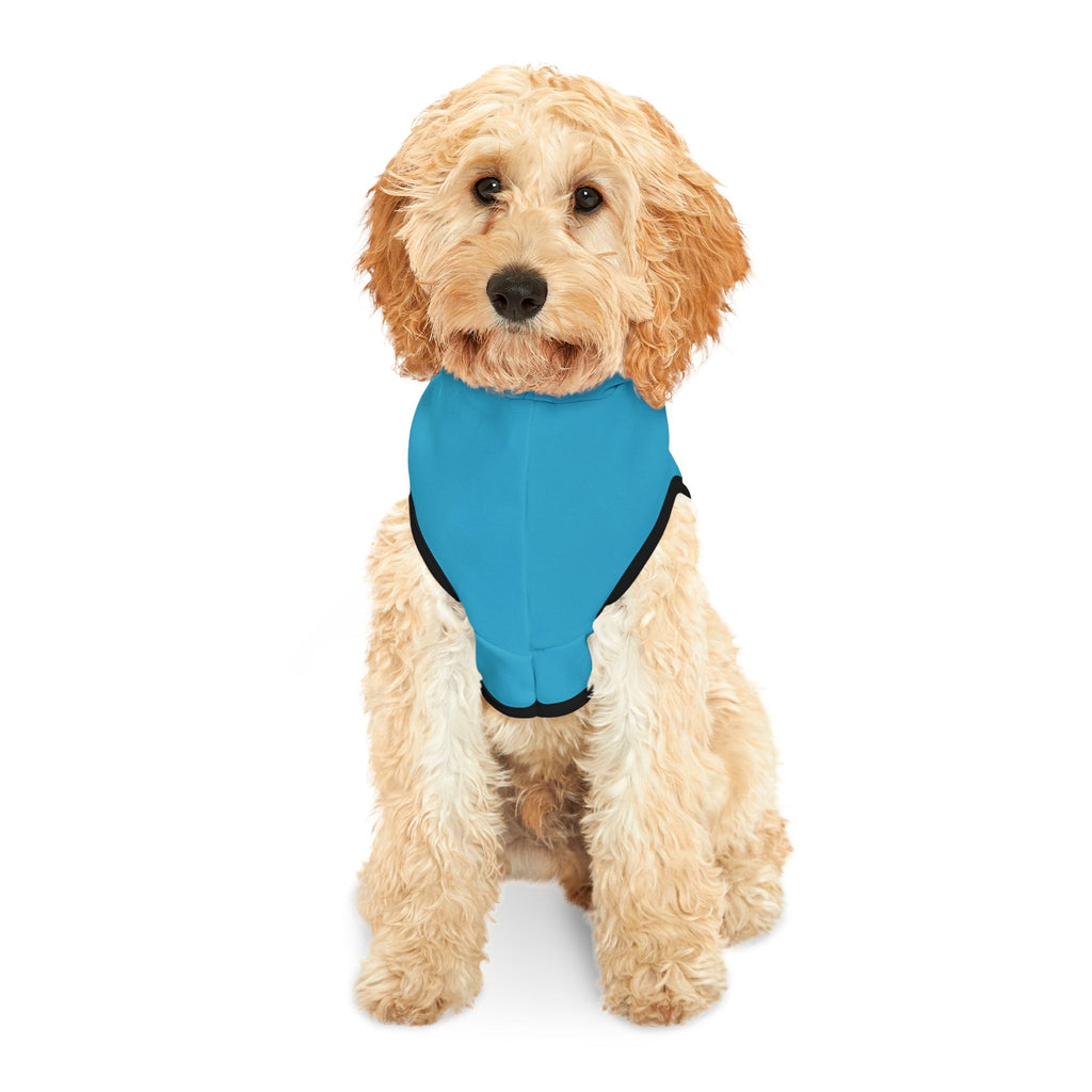 Light Blue Dog Rockstar Pet Hoodie