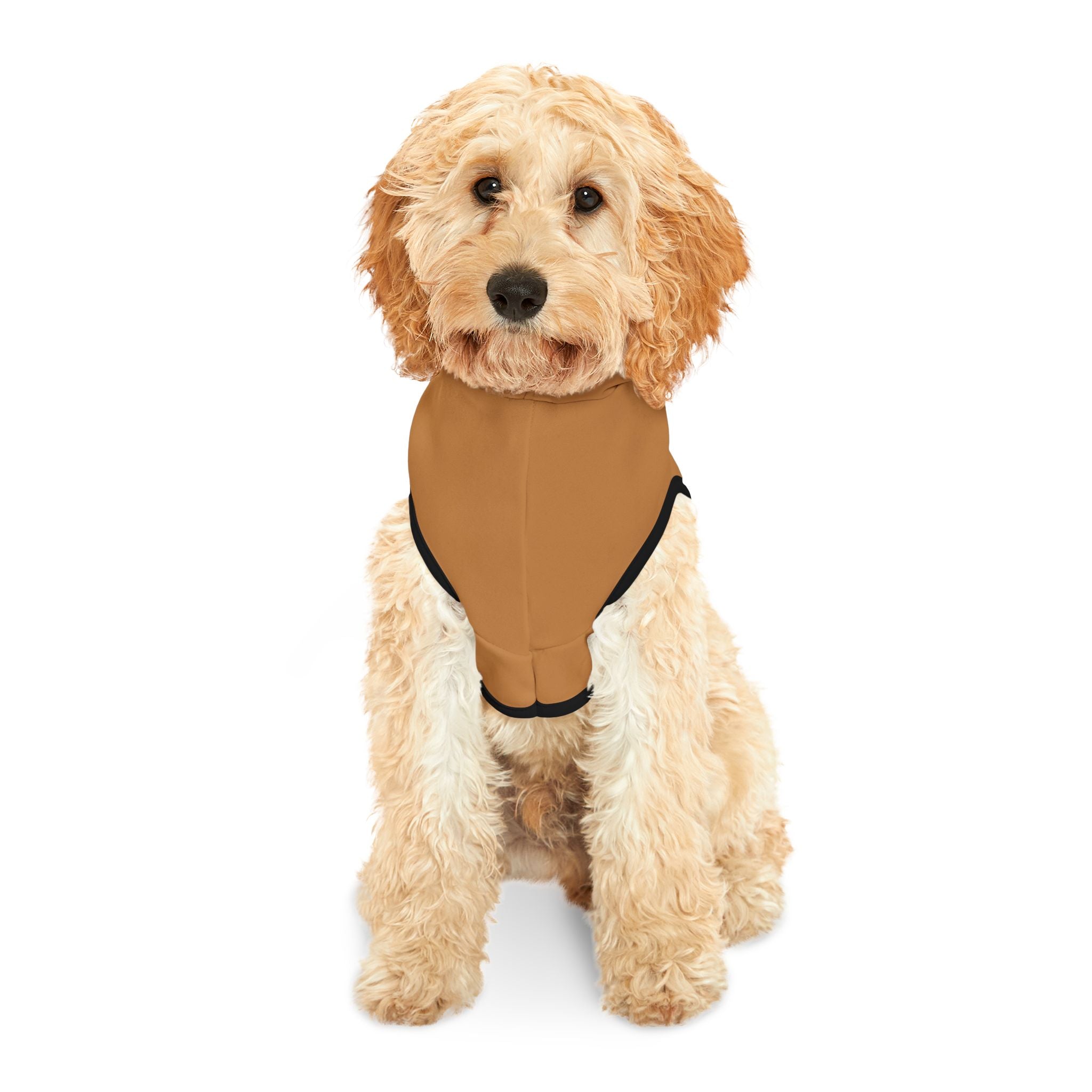 Brown Rockstar Pet Hoodie