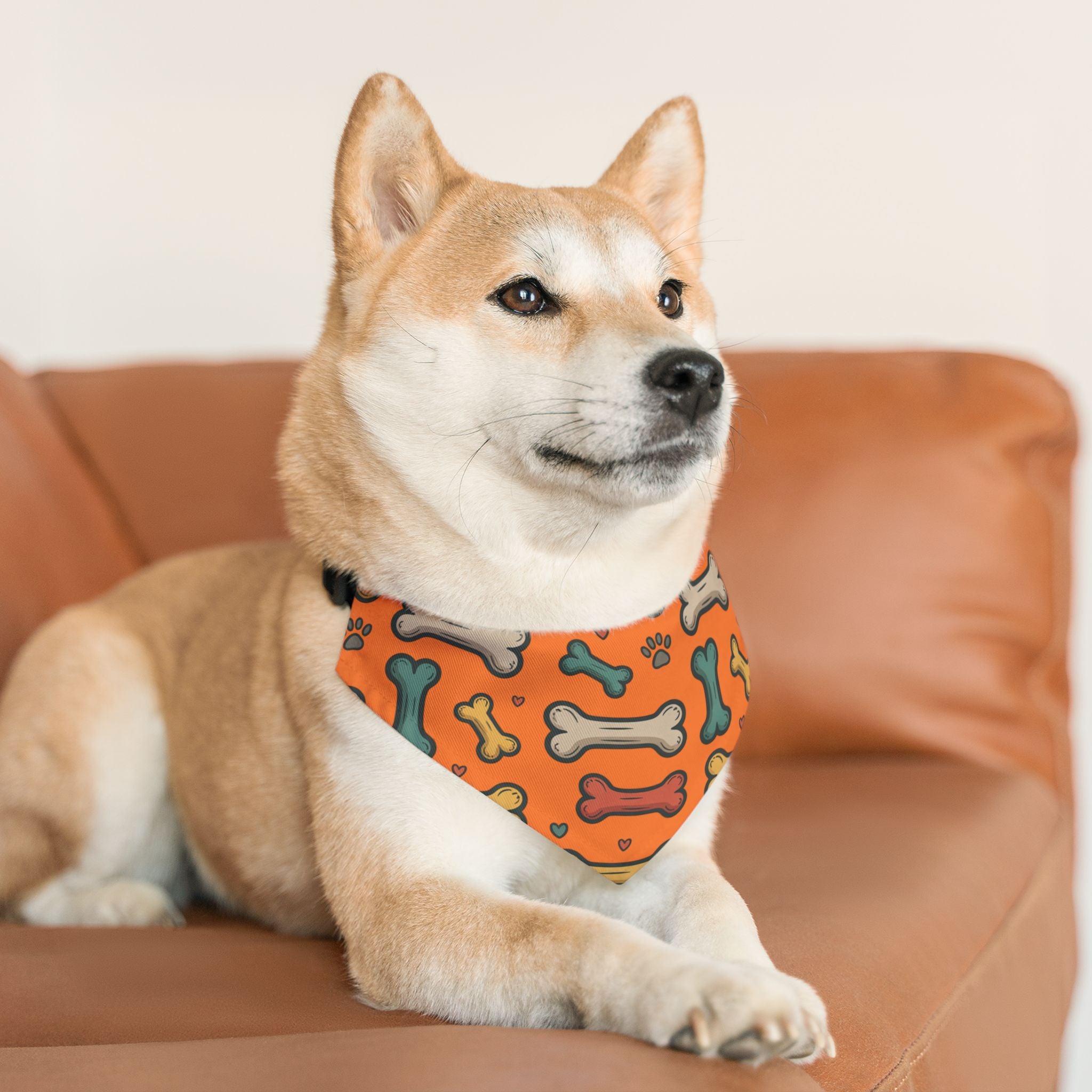 Orange Dog Bone Pattern Bandana Collar