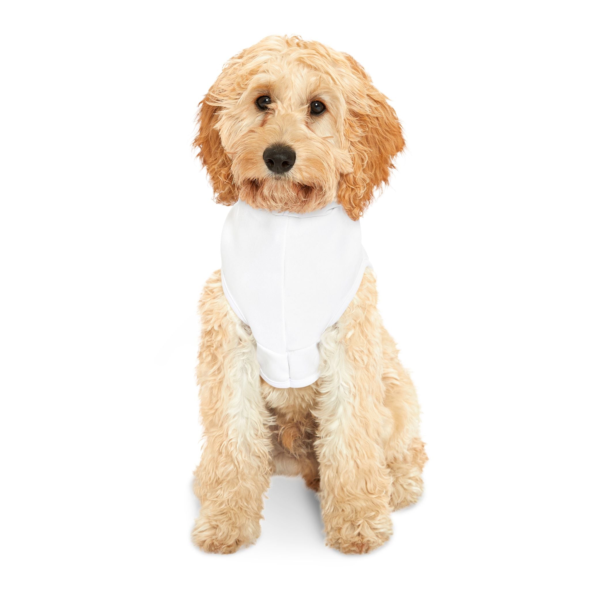 White Dog Rockstar Pet Hoodie