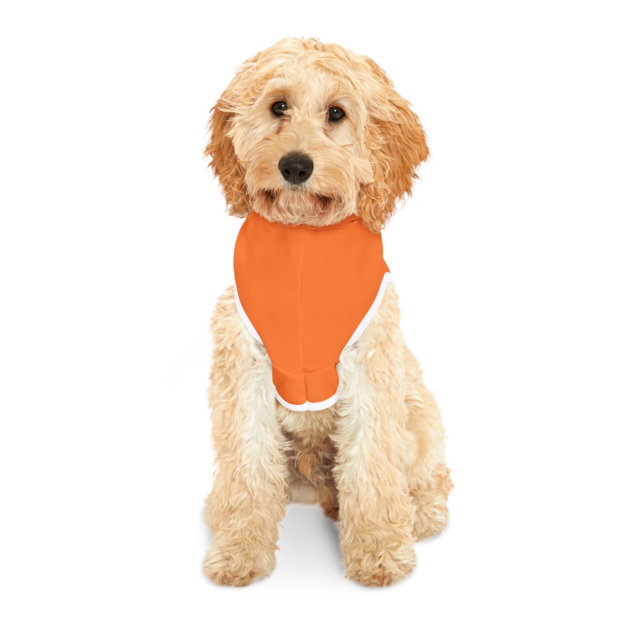 Orange Rockstar Pet Hoodie