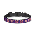 Purple Pet Collar with Pink Butterfly Pattern