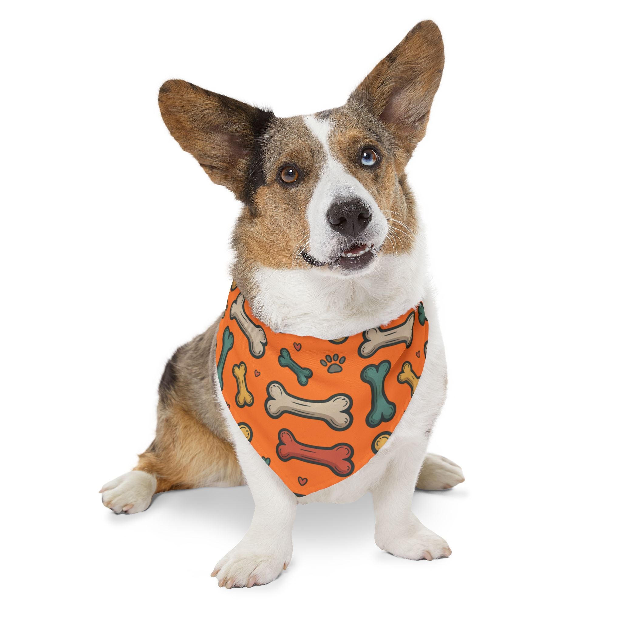 Orange Dog Bone Pattern Bandana Collar