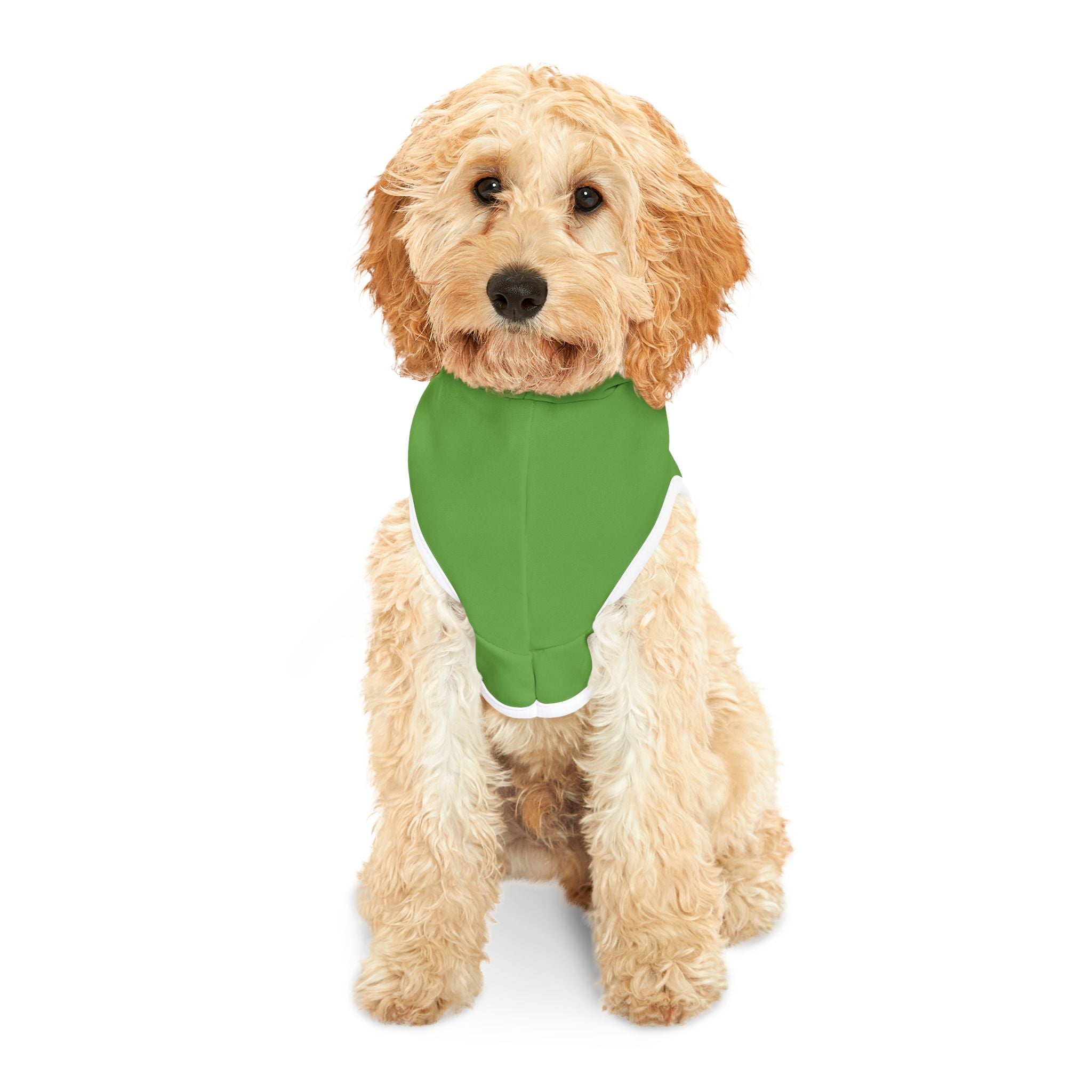 Lime Green Rockstar Pet Hoodie