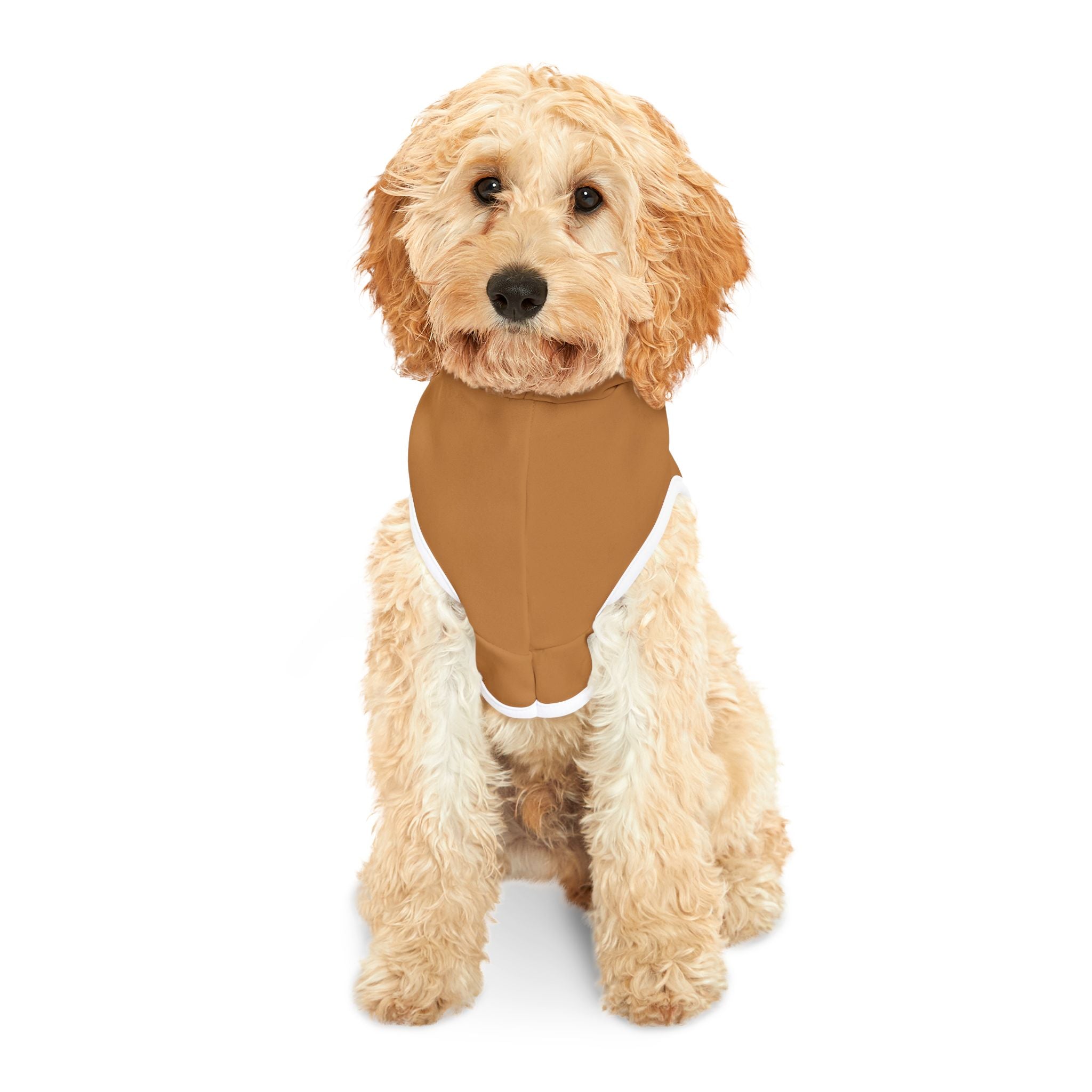 Brown Rockstar Pet Hoodie